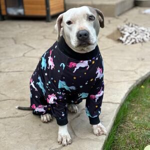 Tooth & Honey Unicorn Dog Loungewear PJs Princess Fairy Comfy Cozy Cute Puppy